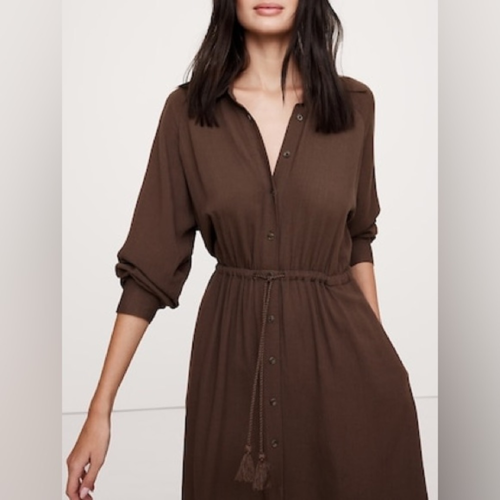 Banana Republic Brown Maxi Dress